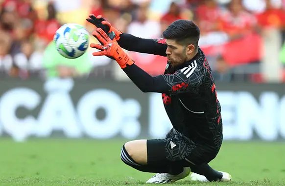 Rossi é o melhor goleiro da 25ª rodada (Foto: Coluna do Fla)