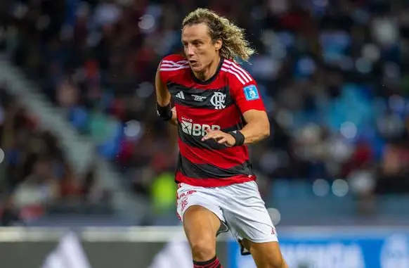 David Luiz (Foto: Marcelo Cortes / Flamengo)