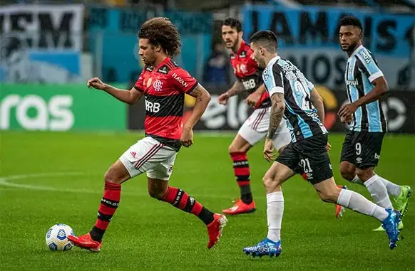 Flamengo contra Grêmio (Foto: Divulgação/Flamengo)