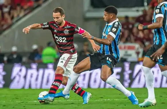 Flamengo e Grêmio (Foto: Marcelo Cortes/Flamengo)