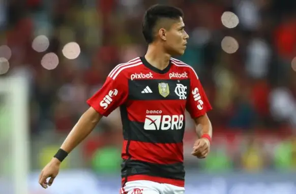 Luiz Araújo (Foto: Marcelo Cortes/Flamengo)