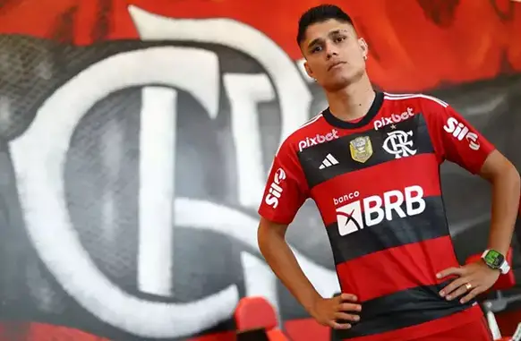 Luiz Araújo (Foto: Gilvan de Souza/ Flamengo)