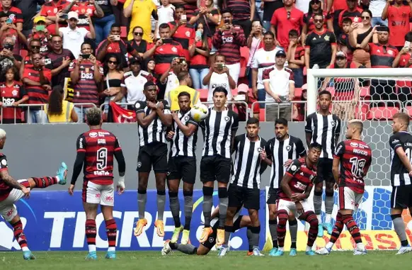 Partida do Flamengo contra Botafogo (Foto: Flamengo/ Divulgação)