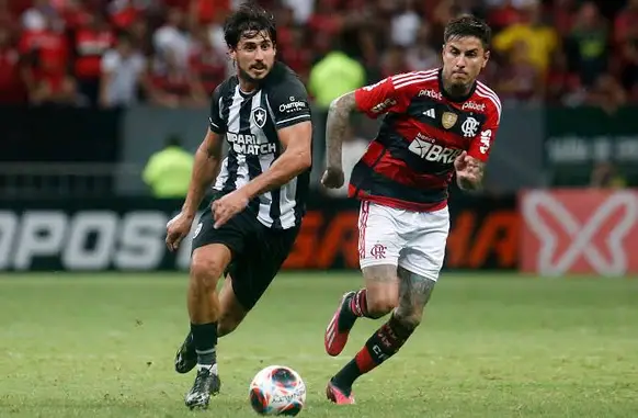 Flamengo e Botafogo em campo (Foto: Vitor Silva/BFR)