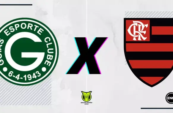 Goiás x Flamengo (Arte/ENM) (Foto: Esporte News Mundo)