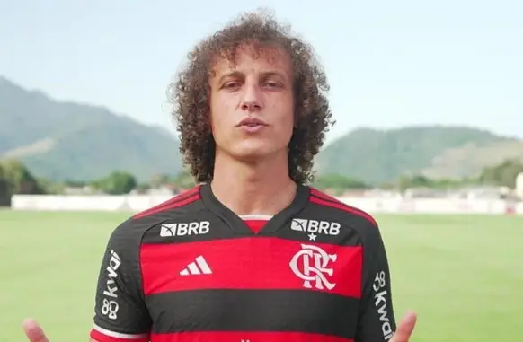 David Luiz (Foto: Reprodução/Fla TV)