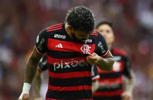 Gabigol fez um dos gols da vitória do Flamengo (Foto: Divulgação / Flamengo)