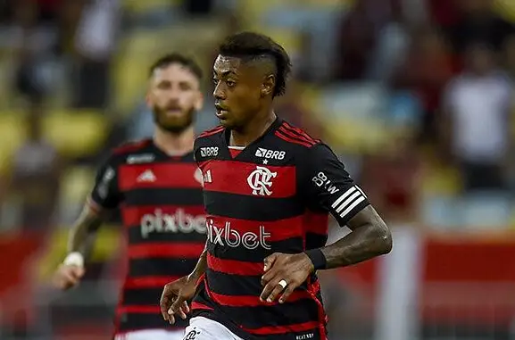 Bruno Henrique (Foto: Foto: Marcelo Cortes/Flamengo)