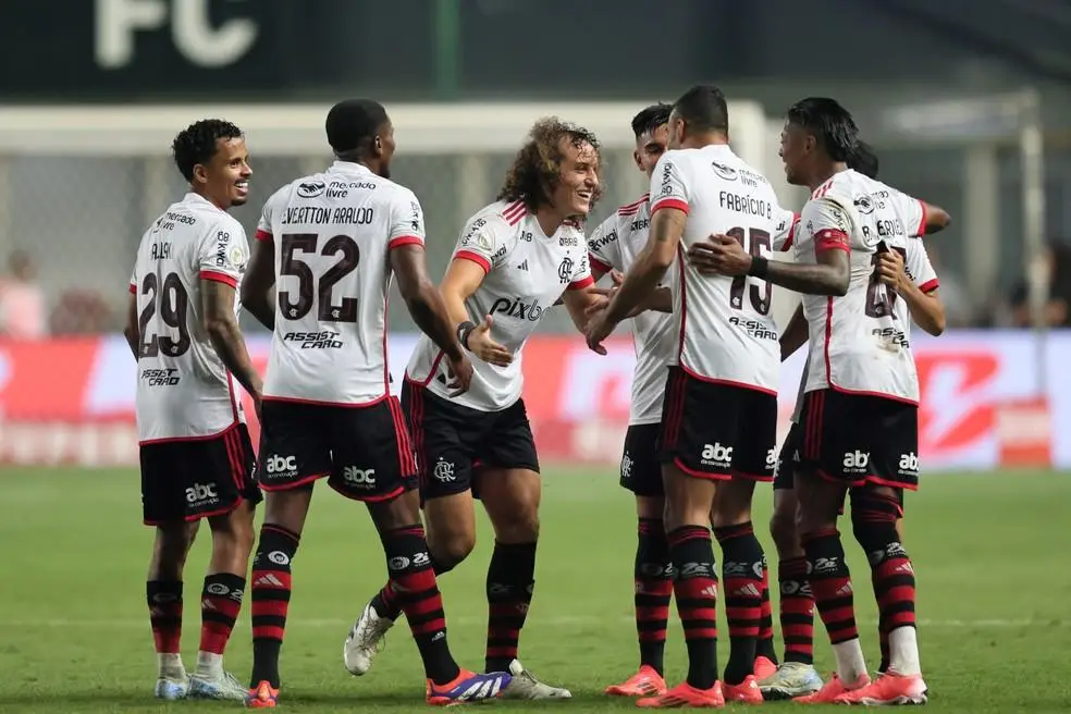 Comemoração do gol de David Luiz em Cruzeiro x Flamengo - Brasileirão