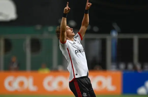 David Luiz marcou o gol da vitória do Flamengo contra o Cruzeiro pelo Brasileirão (Foto: Divulgação/Flamengo)