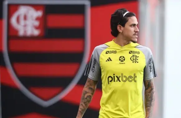 Pedro (Foto: Divulgação/ Flamengo)