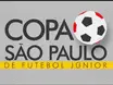 Flamengo anuncia lista de convocados para a Copa São Paulo 2025