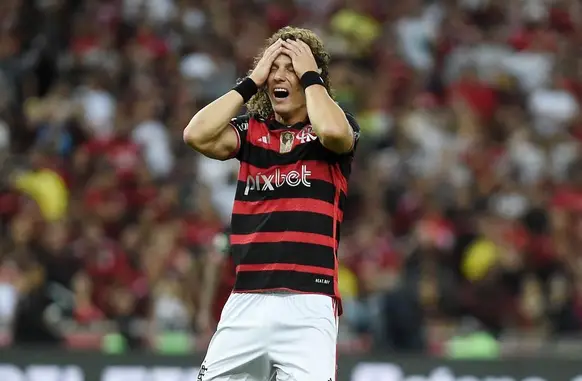 Flamengo x Atlético-MG - David Luiz (Foto: Alexandre Durão)