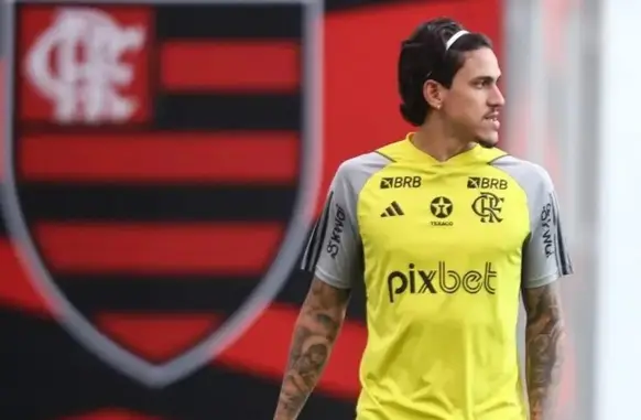 Pedro não entra em campo desde setembro, quando rompeu o ligamento do joelho esquerdo (Foto: Divulgação / Flamengo)