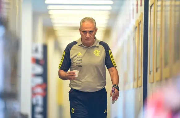 Técnico Tite (Foto: Marcelo Cortes /CRF)