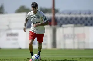 Erick Pulgar em treino do Flamengo (Foto: Marcelo Cortes/Flamengo)