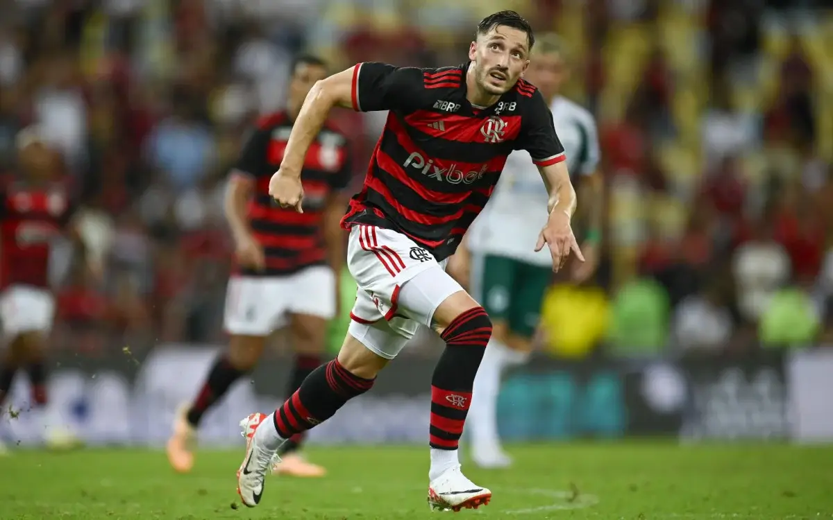 Viña em ação pelo Flamengo