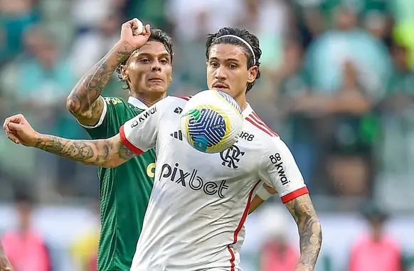 Pedro foi um dos titulares que não atuou desde o início na partida entre Flamengo e Palmeiras (Foto: Marcelo Cortes / CRF)