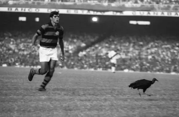 O jogador Guilherme corre para pegar o segundo urubu jogado pela torcida (Foto: Arquivo/Agência O GLOBO)