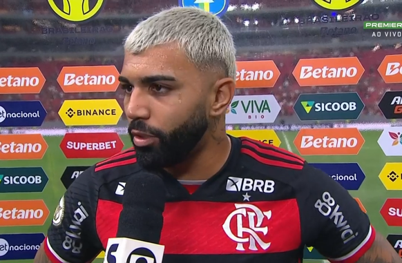 Gabigol (Foto: Reprodução / ge.globo.com)