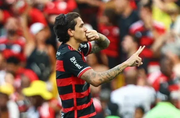 Pedro (Foto: Divulgação / Flamengo)