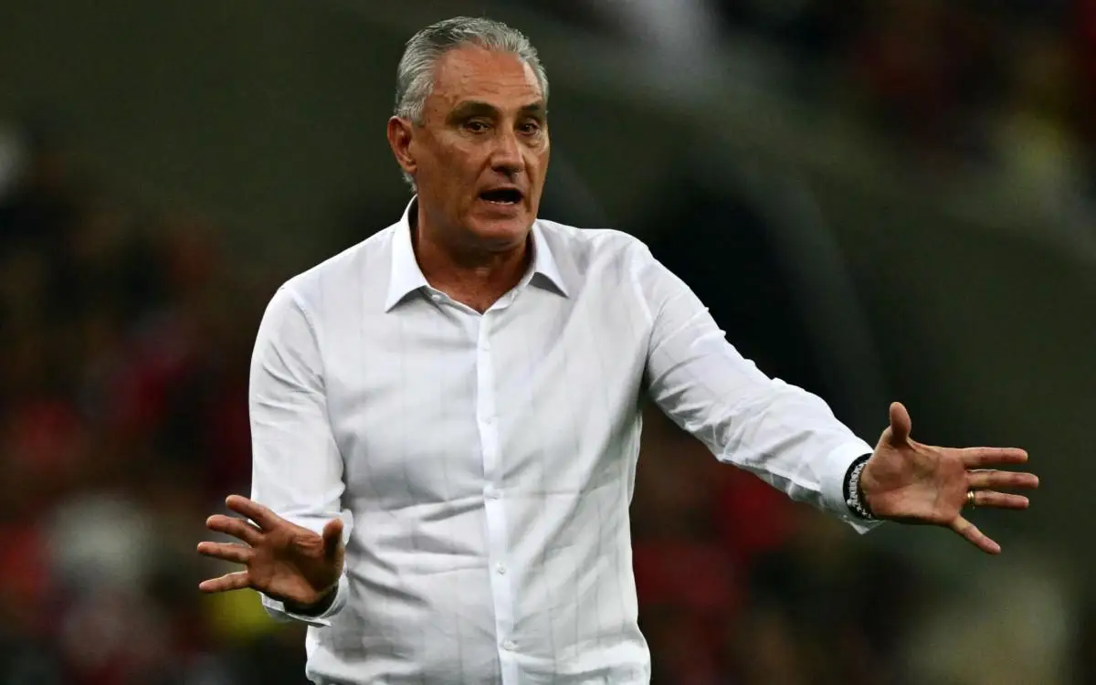 Tite foi demitido do Flamengo