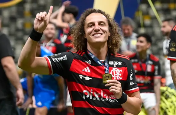 David Luiz está livre no mercado (Foto: Divulgação / Flamengo)