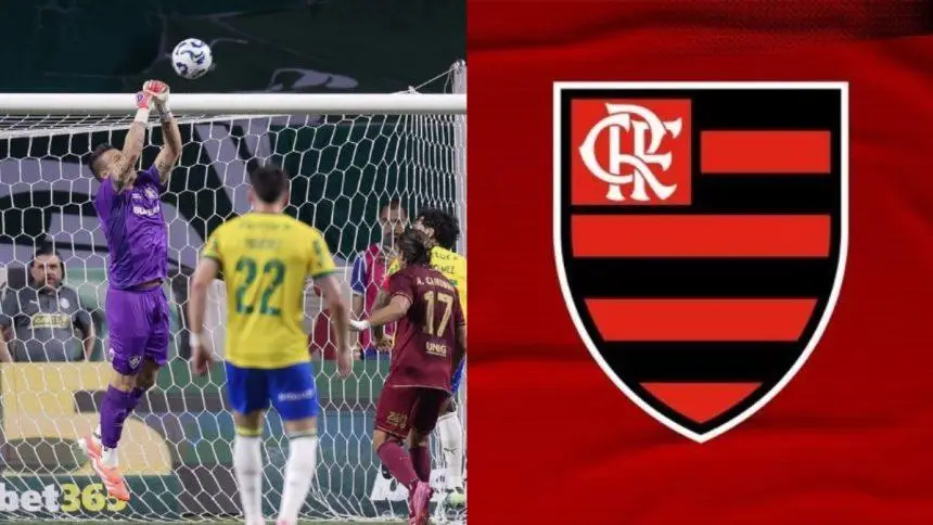 Goleiro do Fluminense provoca torcida do Palmeiras após ‘ajudar’ o Flamengo
