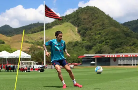 Pedro (Foto: Divulgação/Flamengo)