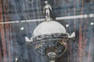 Taça da Libertadores (Foto: Lucas Merçon/Fluminense)