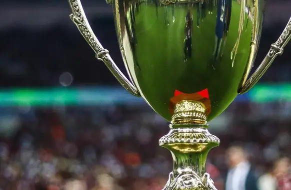 Taça do Campeonato Carioca (Foto: Gilvan de Souza / Flamengo)