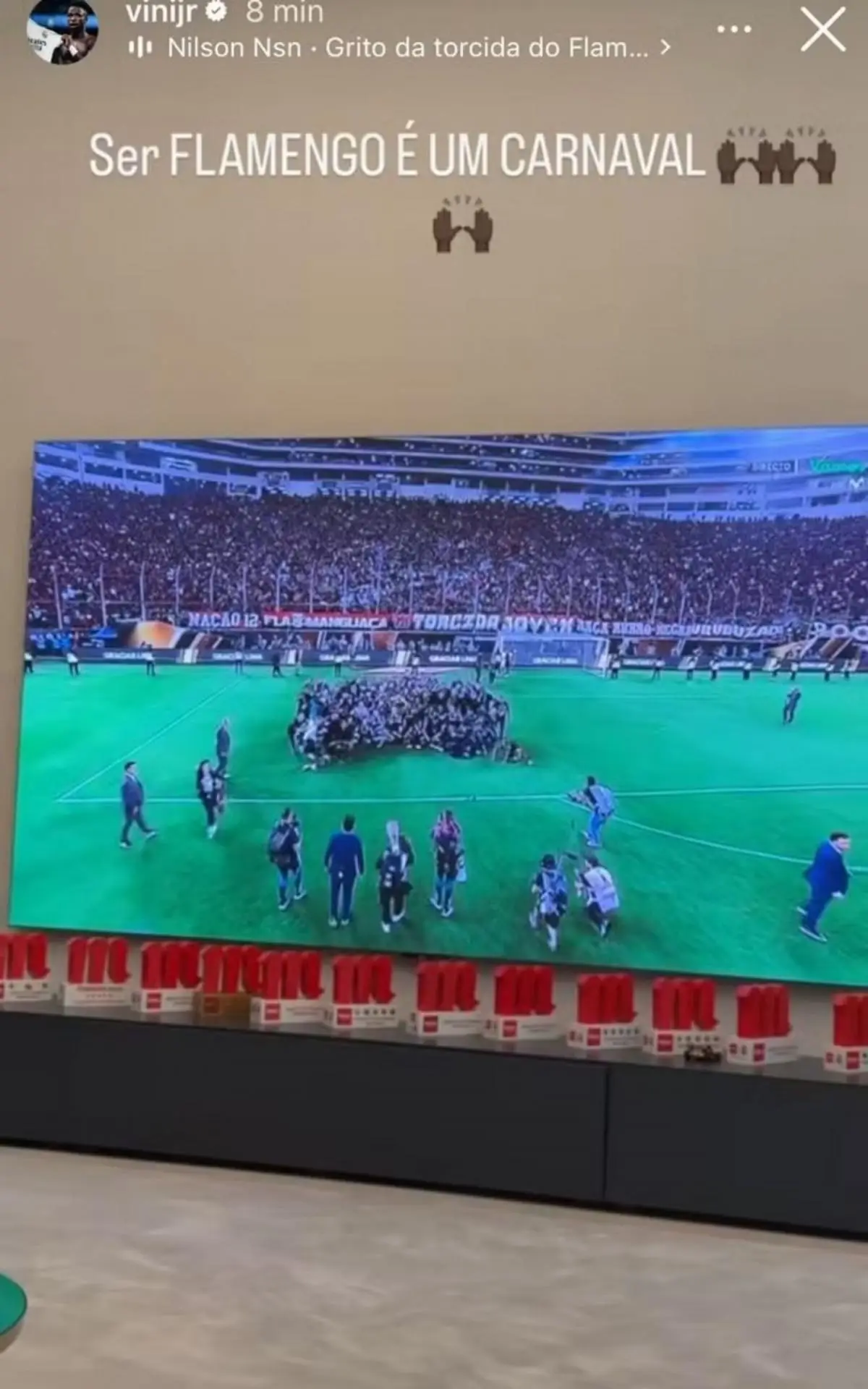 Vini Jr comemorou o título do Flamengo nas redes sociais