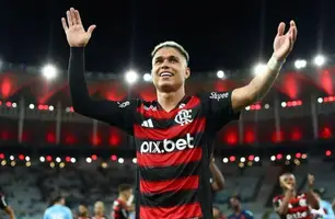 Luiz Araújo (Foto: Gilvan de Souza / Flamengo)
