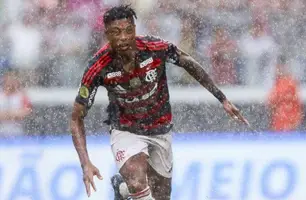 Bruno Henrique (Foto: Gilvan de Souza/ Flamengo)