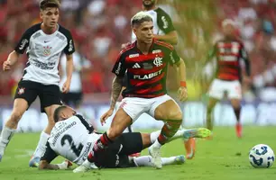 Luiz Araújo entrou no segundo tempo da vitória do Flamengo sobre o Corinthians (Foto: Gilvan de Souza / Flamengo)