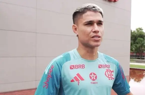 Luiz Araújo (Foto: Reprodução / Flamengo TV)