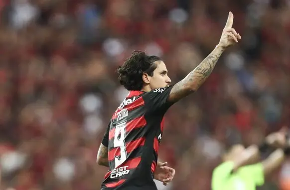 Pedro (Foto: Gilvan de Souza/Flamengo)