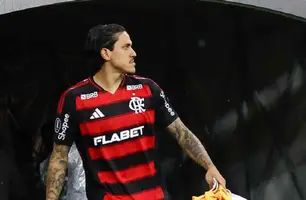 Pedro (Foto: Divulgação/Flamengo)