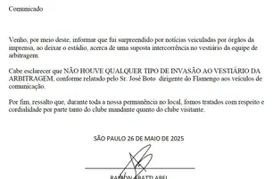 Árbitro faz adendo para negar tentativa de invasão em Palmeiras x Flamengo (Foto: Reprodução)