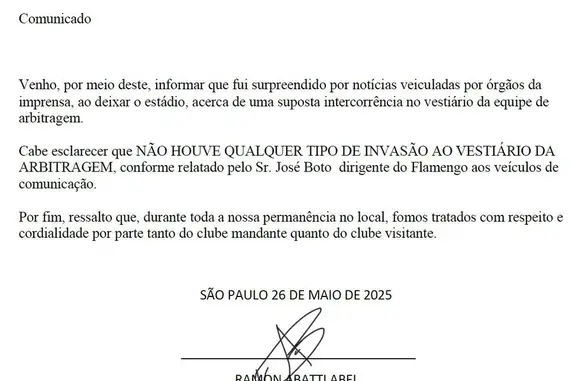 Árbitro faz adendo para negar tentativa de invasão em Palmeiras x Flamengo (Foto: Reprodução)