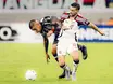 Flamengo encara decisões cruciais na Libertadores e convoca torcida