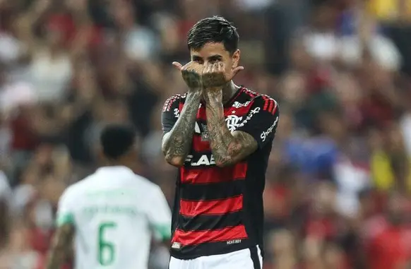 Erick Pulgar (Foto: Gilvan de Souza/Flamengo)