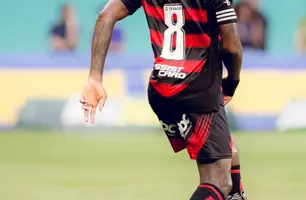 Gerson em ação no jogo entre Palmeiras e Flamengo (Foto: Adriano Fones/Flamengo)