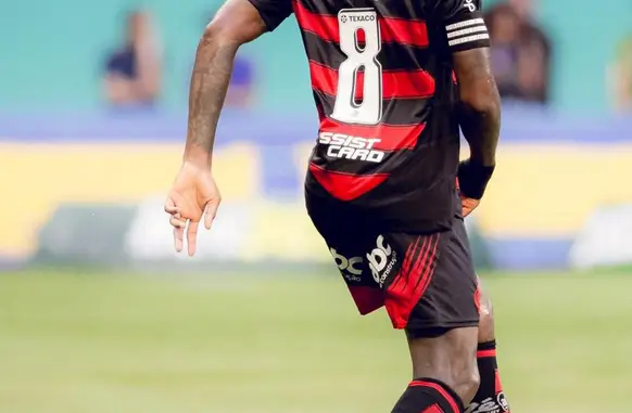Gerson em ação no jogo entre Palmeiras e Flamengo (Foto: Adriano Fones/Flamengo)