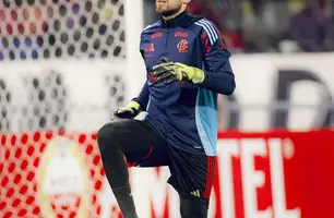 Goleiro Rossi, do Flamengo (Foto: Adriano Fontes/Flamengo)