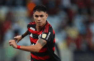 Luiz Araújo (Foto: Divulgação/Flamengo)