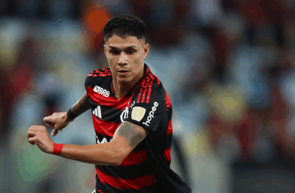 Luiz Araújo (Foto: Divulgação/Flamengo)