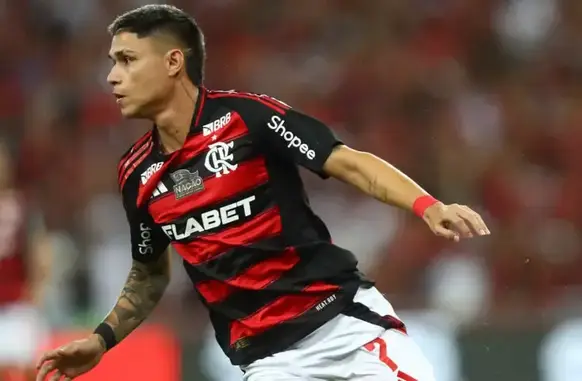 Luiz Araújo (Foto: Gilvan de Souza/Flamengo)