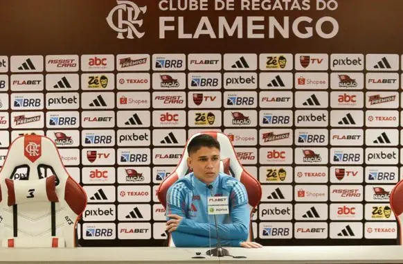 Luiz Araújo (Foto: Gilvan de Souza/Flamengo)