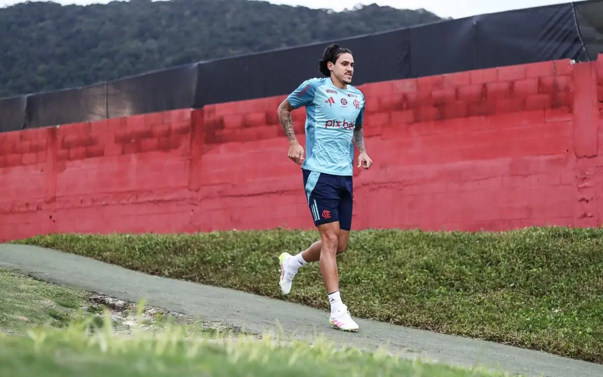 Pedro é um dos destaques do Flamengo
